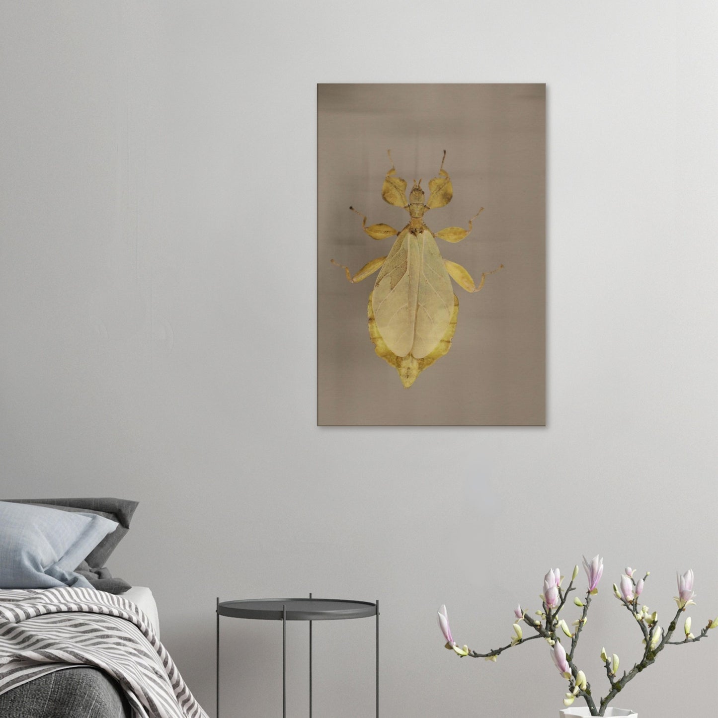 87e68351-7f39-4c47-9681-1a12400c7ca2