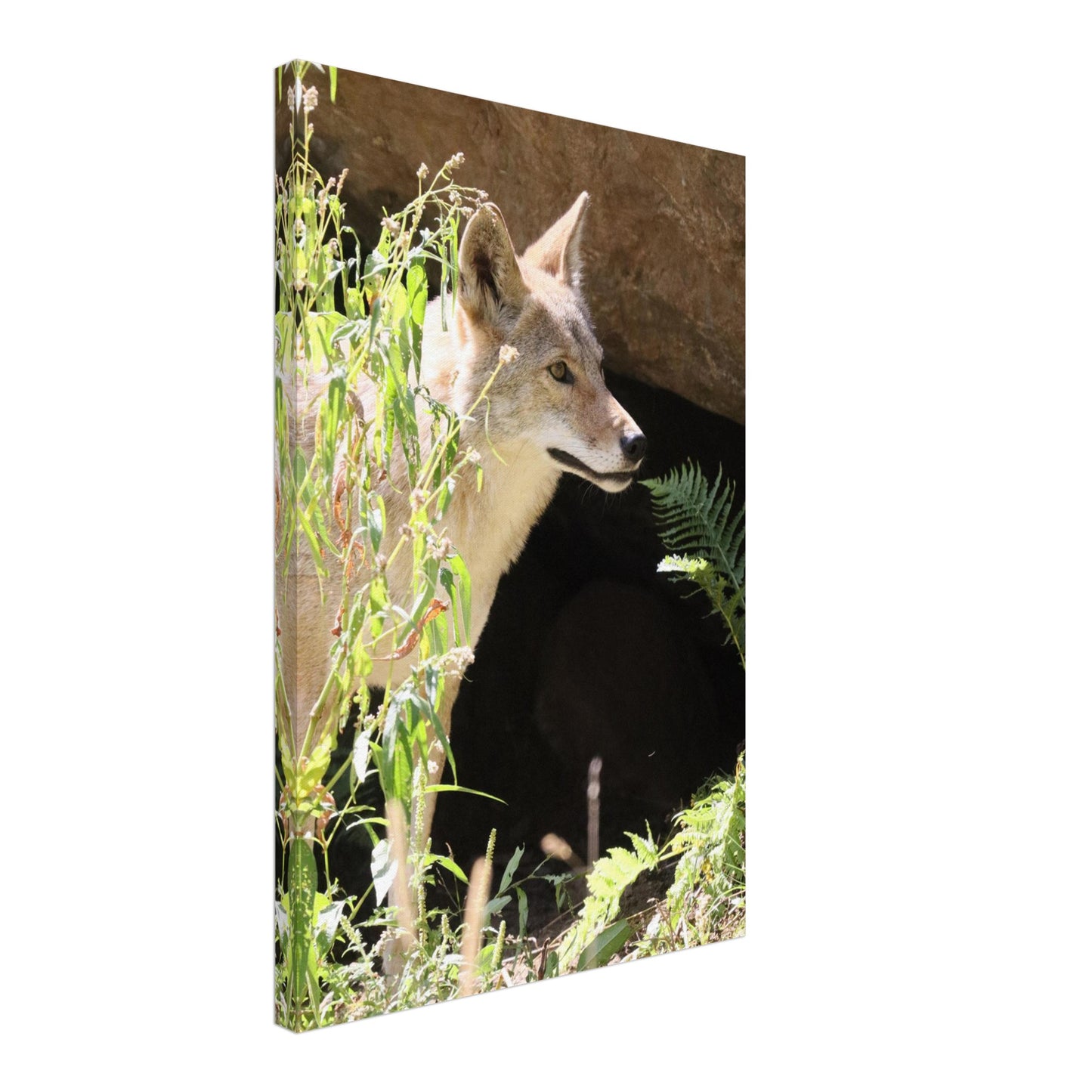 88288a09-09ca-45e9-8c18-a86bc85e531b