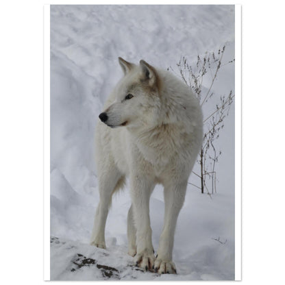 8840095c-1569-4c6d-8a49-999acfe3321c