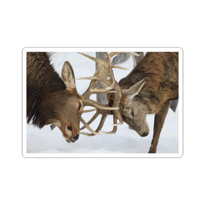 Deer Antler Clash Sticker — Wildlife Photography Kiss-Cut Decal