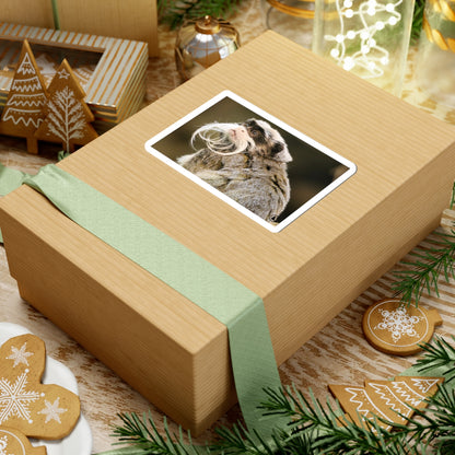 Emperor Tamarin Sticker — Cute Mustache Monkey Kiss-Cut Vinyl Sticker for Laptops & Water Bottles