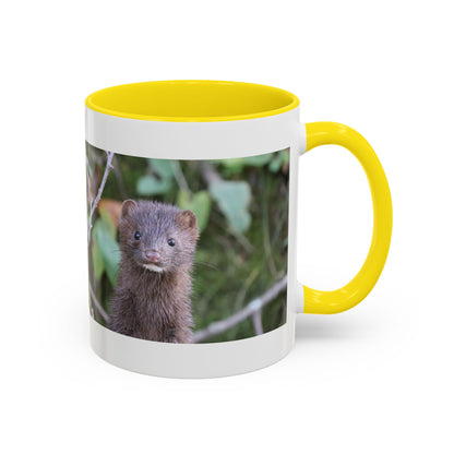 Cute Mink Photo Accent Mug – Wildlife Photography Coffee Cup (11/15 oz)