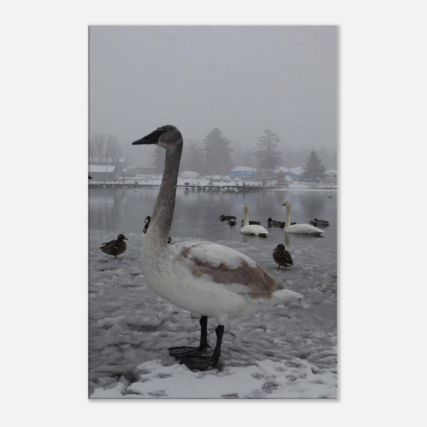 88db9800-a8bf-4fe0-824d-c70992dec9f6