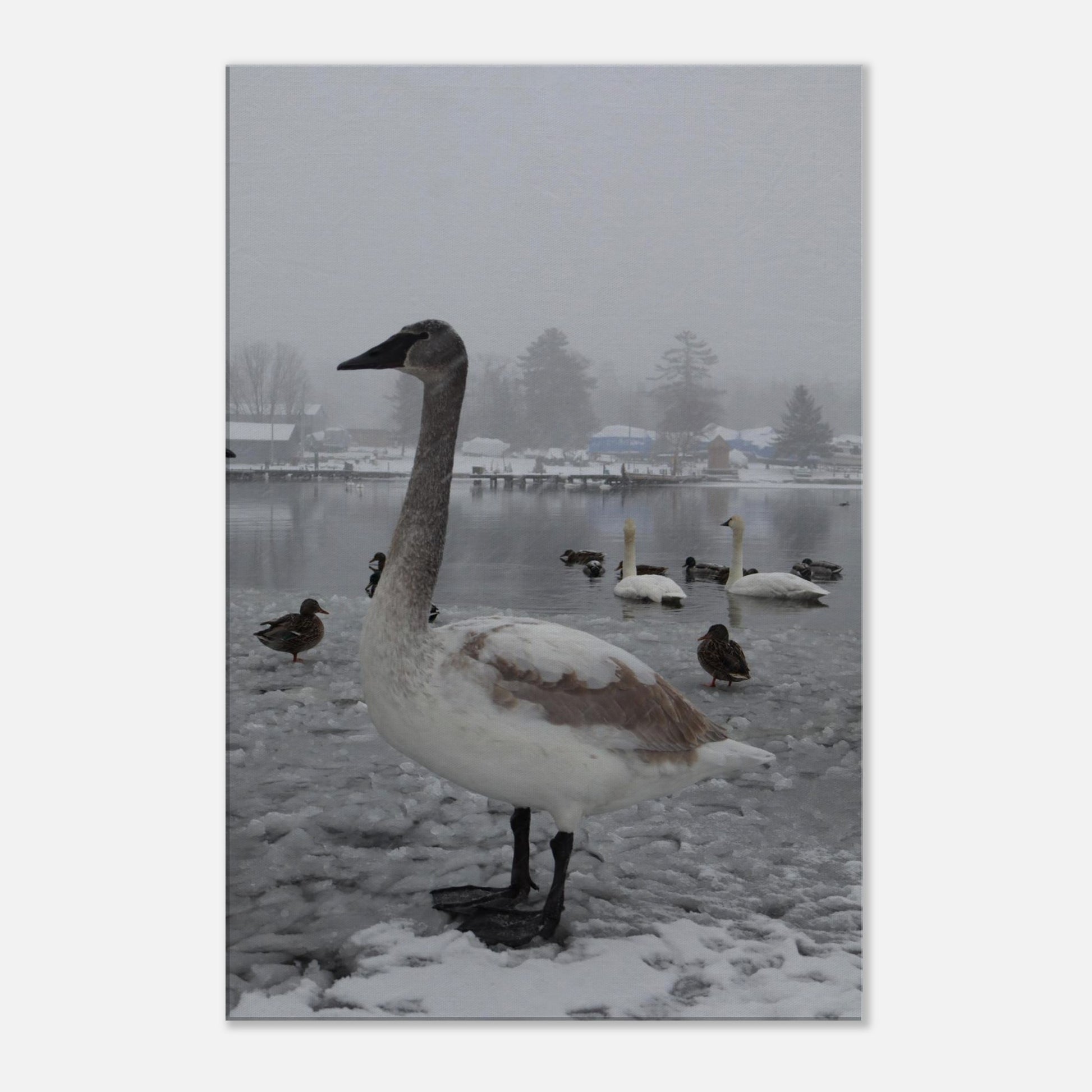 88db9800-a8bf-4fe0-824d-c70992dec9f6