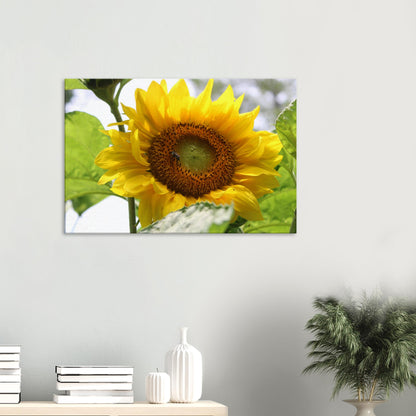 8902a7c2-ca1c-42eb-b853-9e0637bfa056