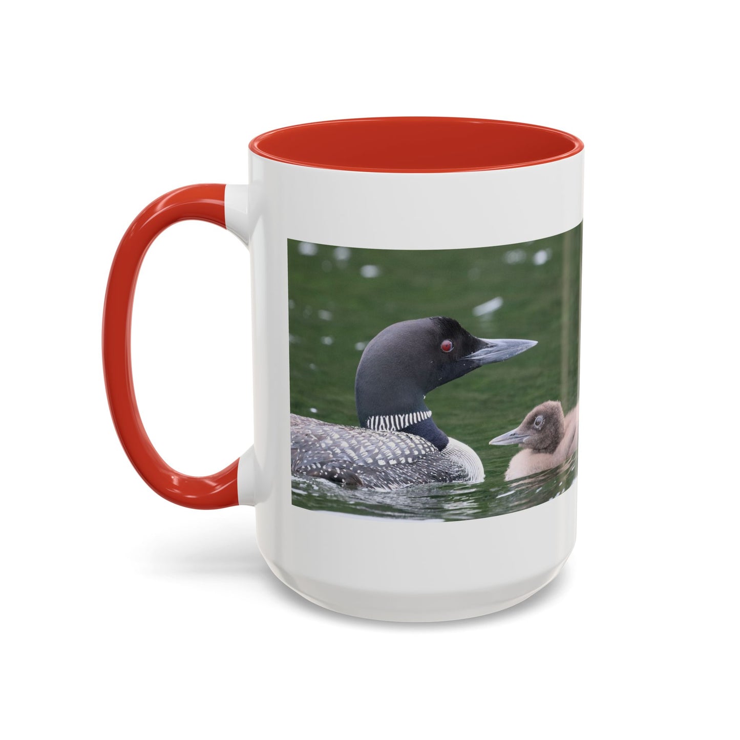 Loon Family Accent Coffee Mug – Wildlife Photo Tea Mug (11/15 oz)