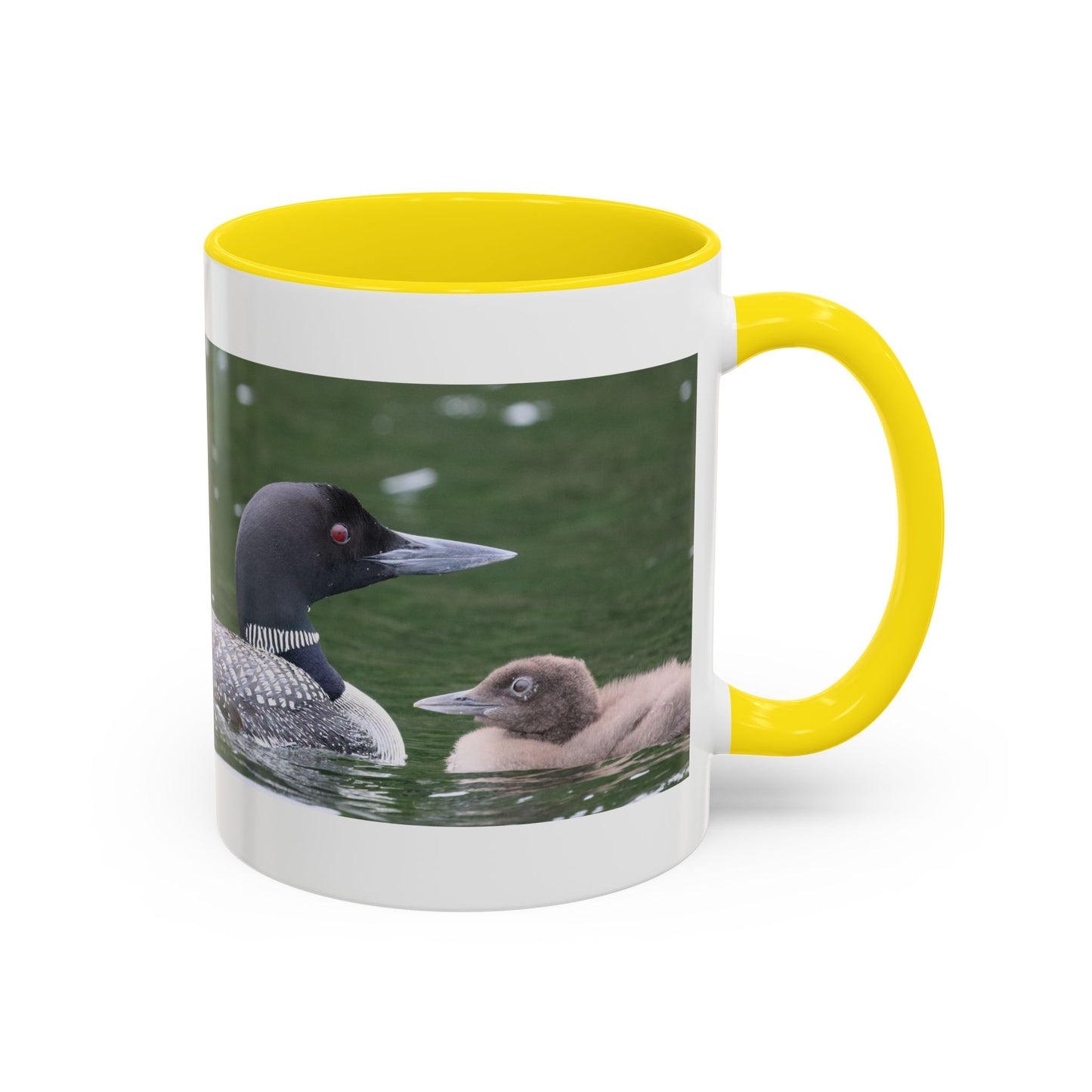 Loon Family Accent Coffee Mug – Wildlife Photo Tea Mug (11/15 oz)