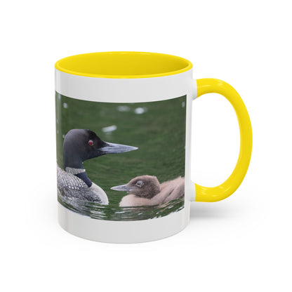 Loon Family Accent Coffee Mug – Wildlife Photo Tea Mug (11/15 oz)