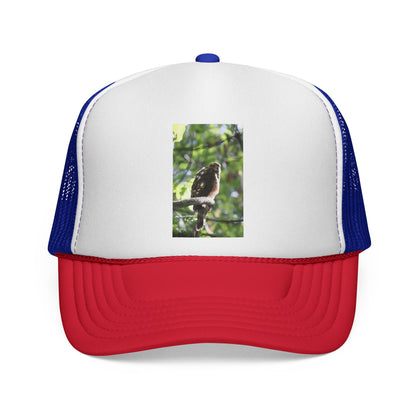 Bird Photography Trucker Cap – Perched Owl Nature Hat
