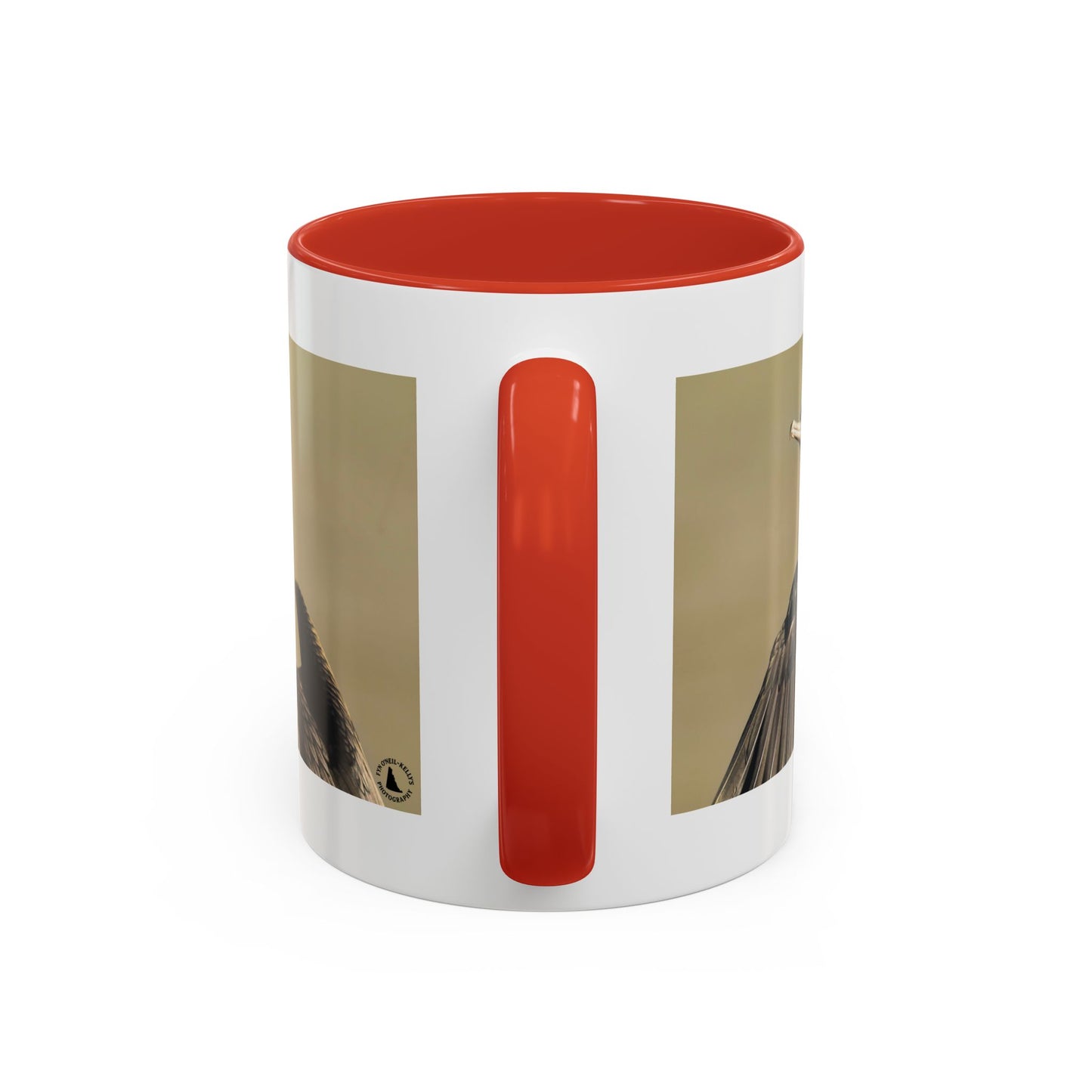 Cormorant Photo Coffee Mug – Birdwatching Nature Gift (11/15oz)