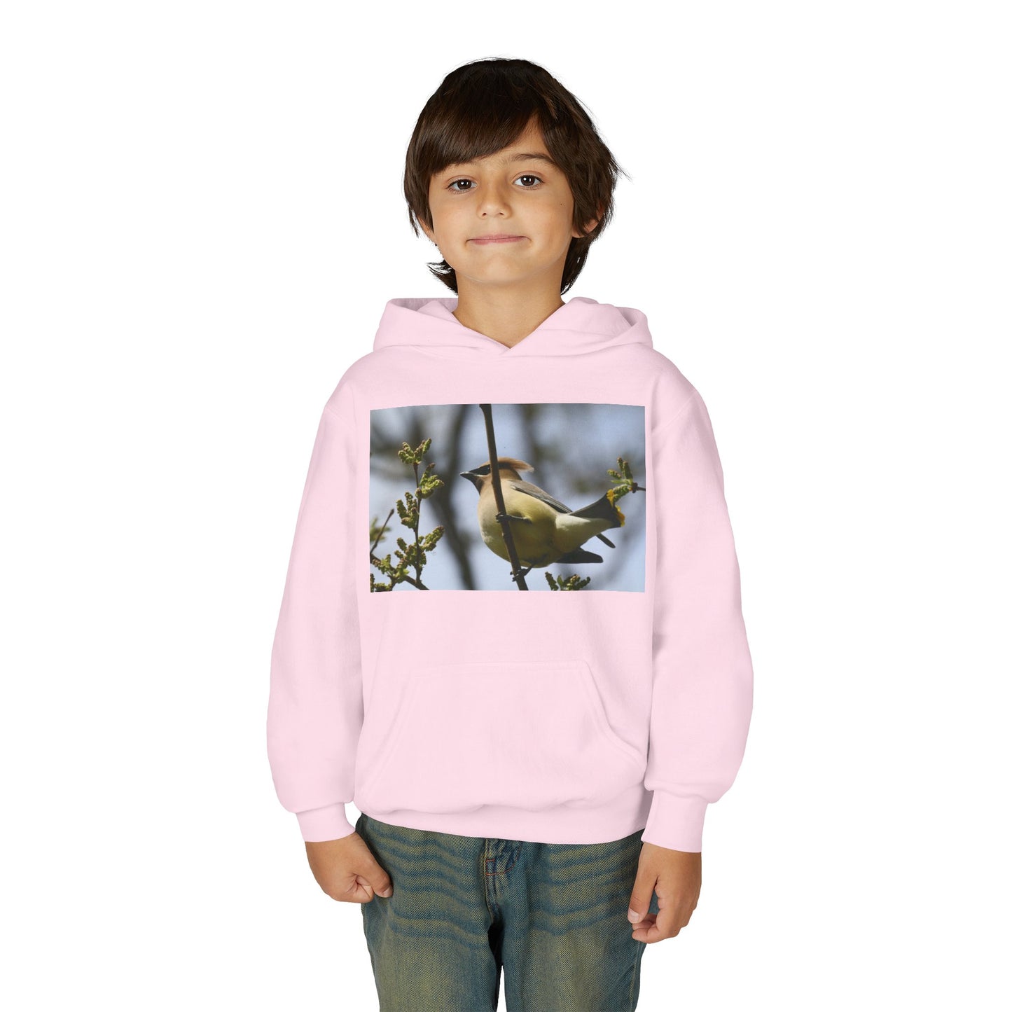 Cedar Waxwing Bird Hoodie | Youth Hooded Sweatshirt