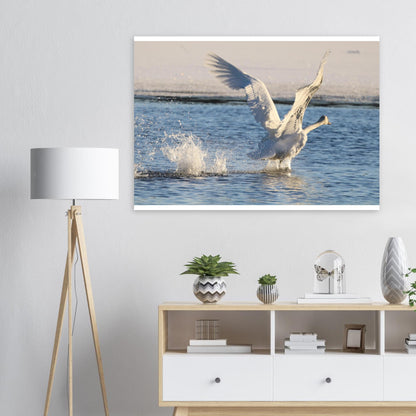 898f1188-f029-4d87-badb-ccec432b867f