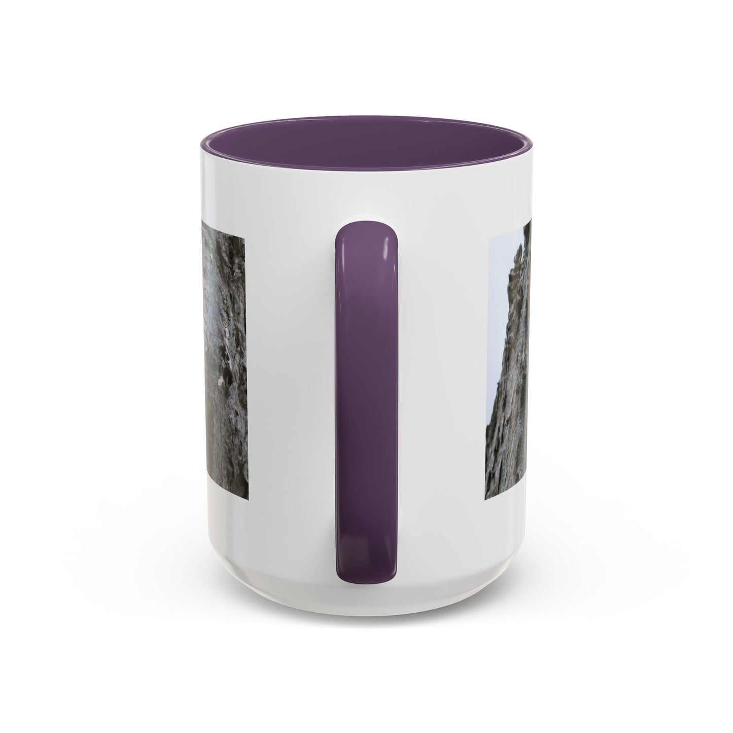 Bluebird in Tree Cavity Accent Coffee Mug — Nature Wildlife Ceramic Mug (11/15oz)