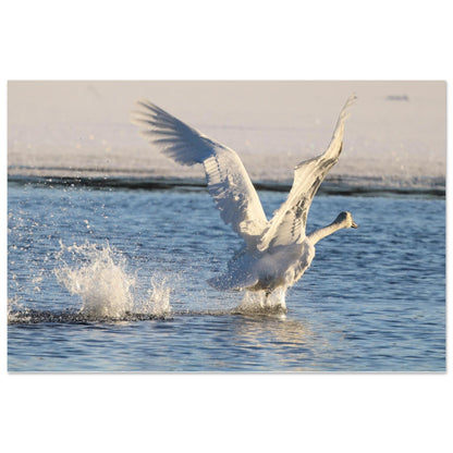 8b024f4f-fac3-4ae0-ad20-098cfc6be79e