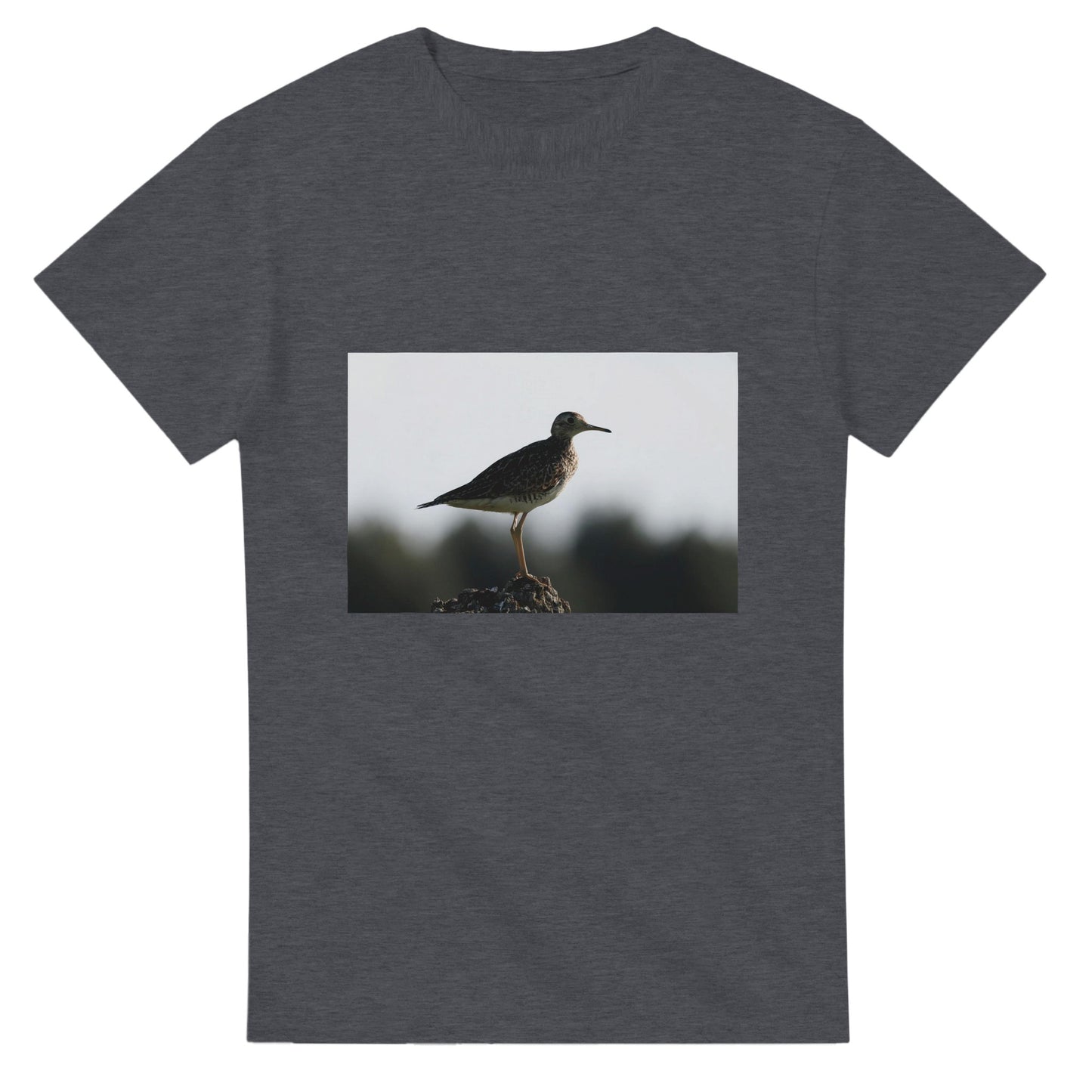 8b3cd427-80dc-41d6-9c6e-eb58655dc459