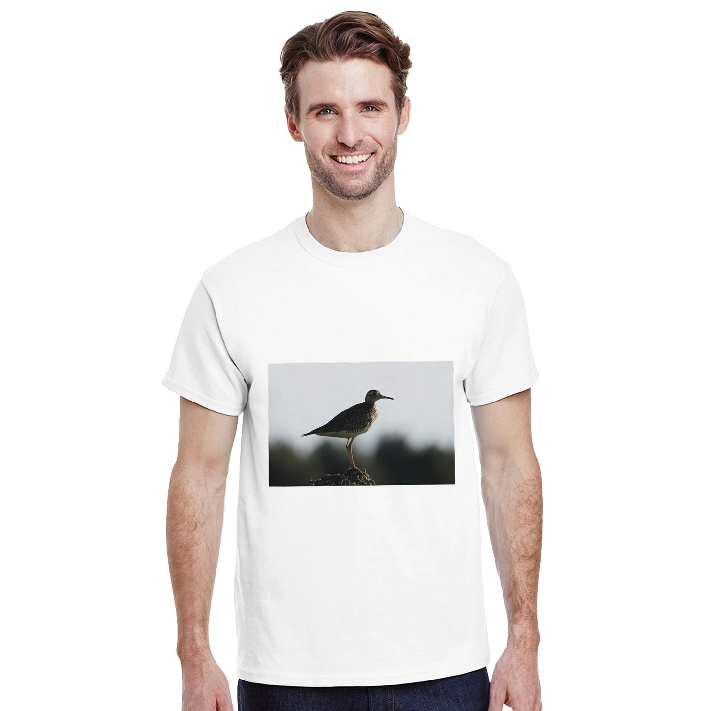 8ba2d1f6-3cad-4a13-b00f-4b88cc8ec80d