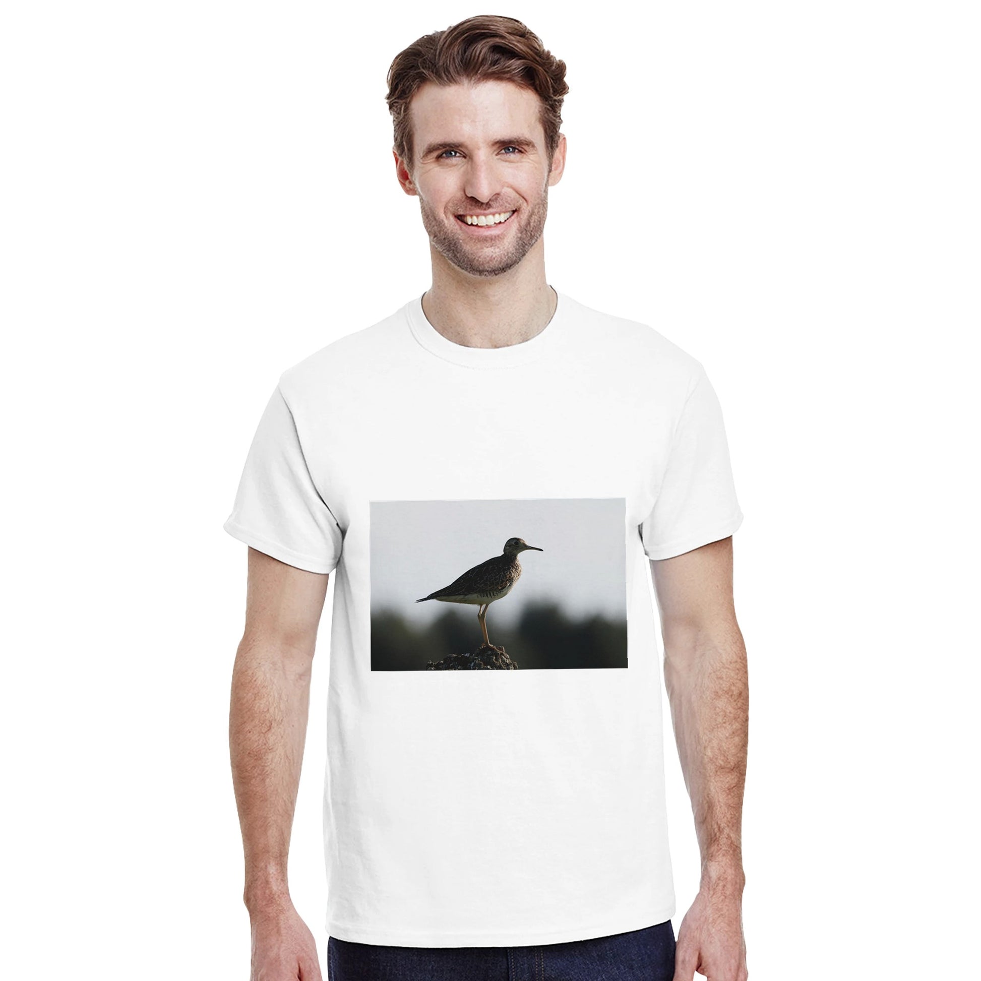 8ba2d1f6-3cad-4a13-b00f-4b88cc8ec80d