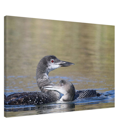 8bdc623d-a419-4074-870f-88968ca54401