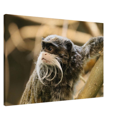 8c6c8b4f-9ee2-4f3b-b444-f75c5d551fc0