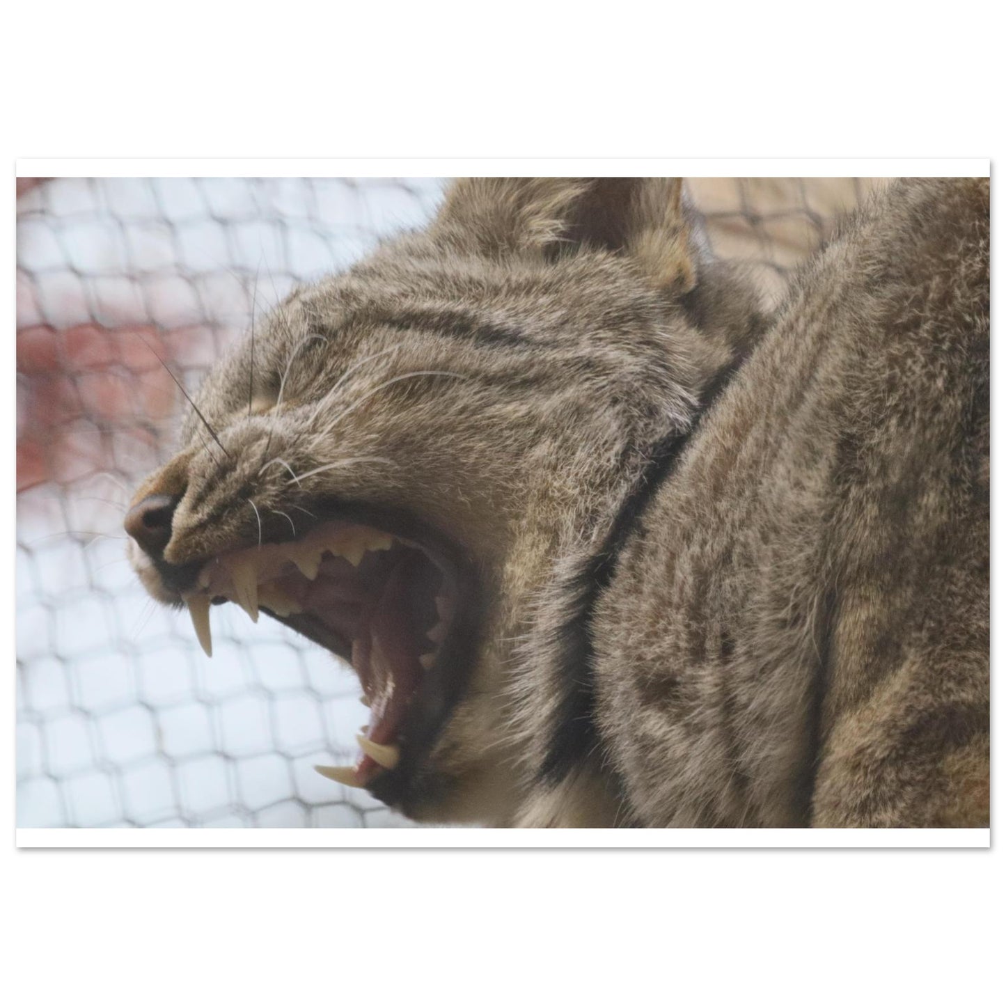 8c73f52f-7c2d-4181-92d4-227cc0b9470b