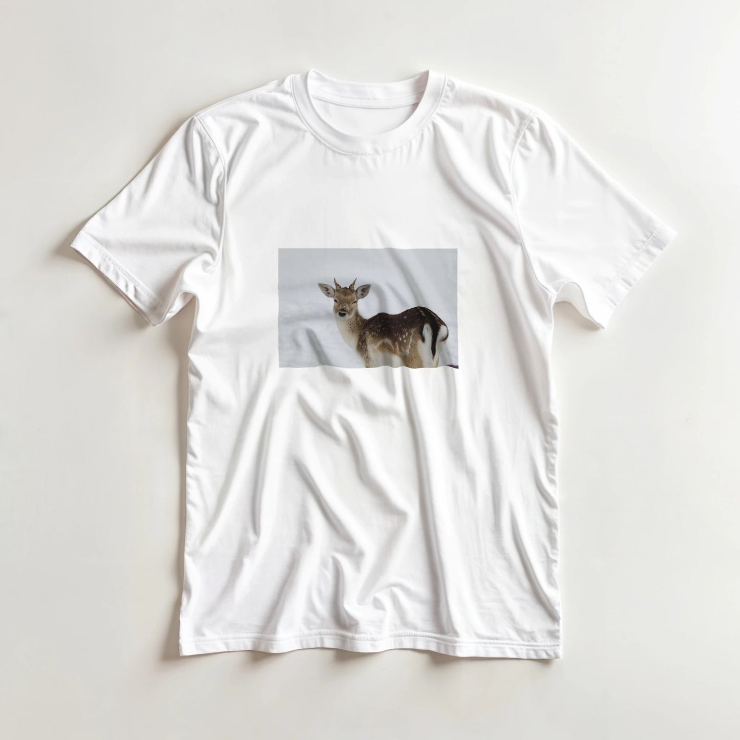 8c92f020-2d6e-438b-8d4d-06e0dcf585b5