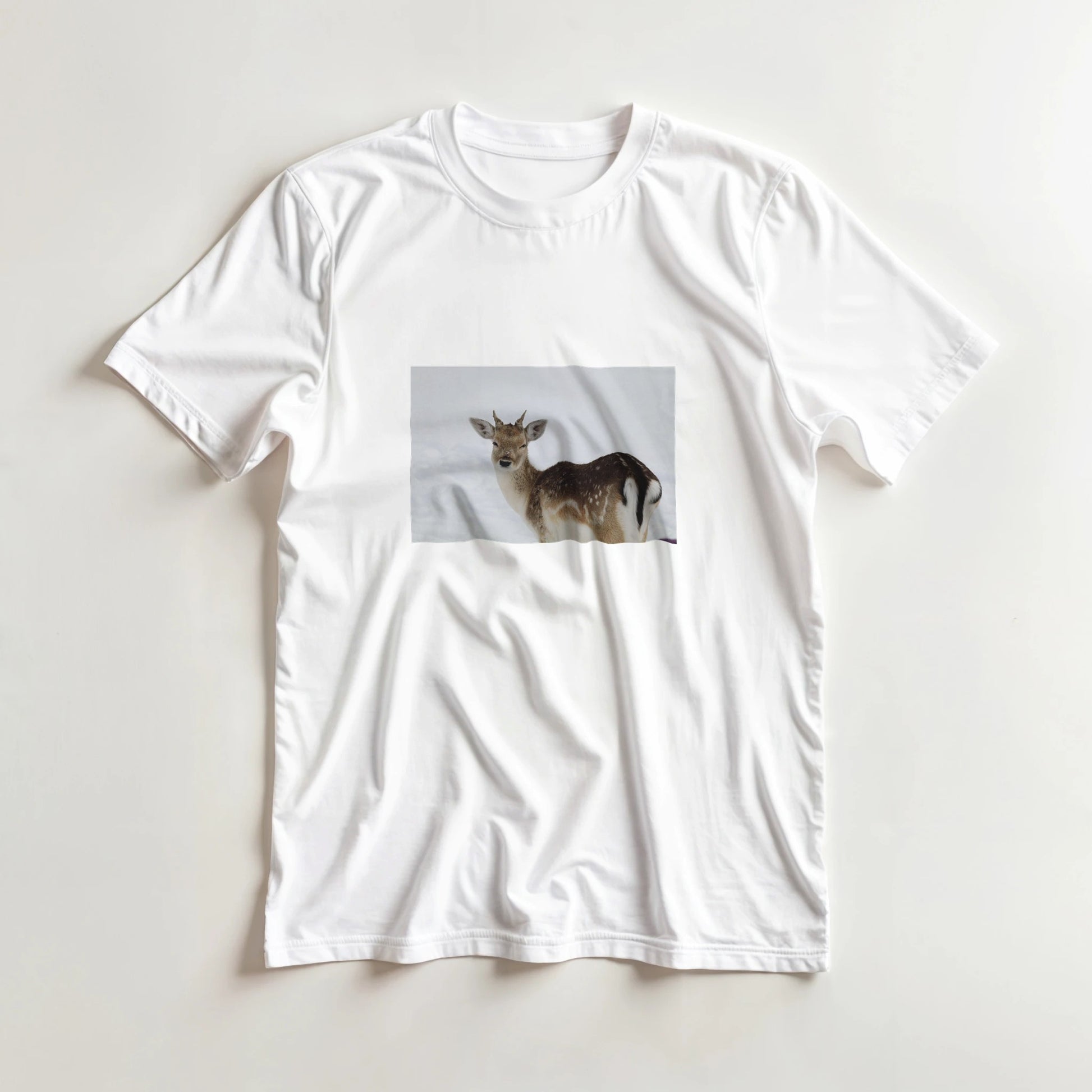 8c92f020-2d6e-438b-8d4d-06e0dcf585b5