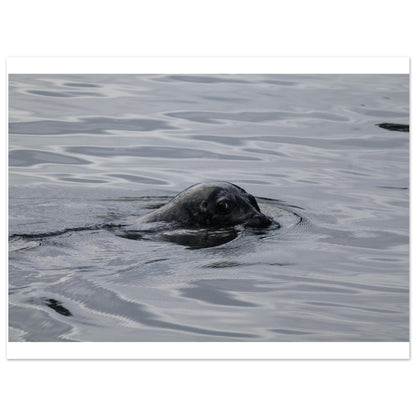 8cff51b0-2b95-4a5c-b754-78de447dd437