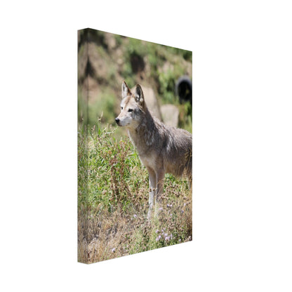 8d40fe8f-8b1f-47bf-971d-1581f9fa2ac0