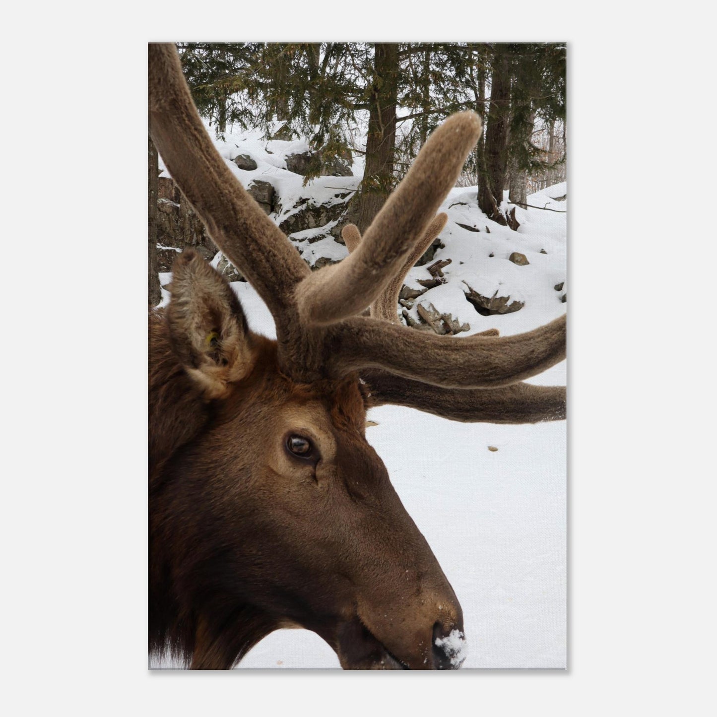 8e8a0339-c09c-4936-a9d8-d917504b1240