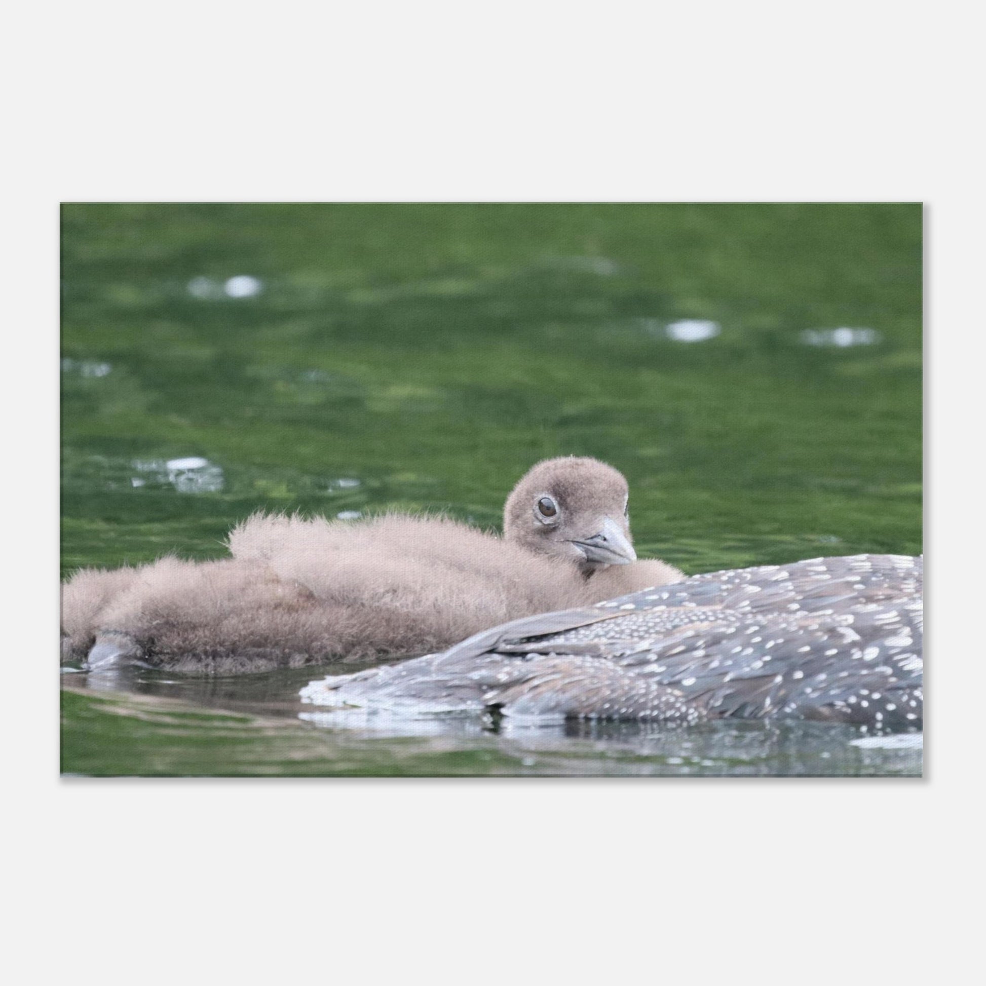 8eb5843b-239c-4b53-9f7a-c01249730b3e