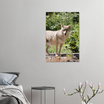 8f07a89d-3832-4f50-ba7d-15f45f07f52a