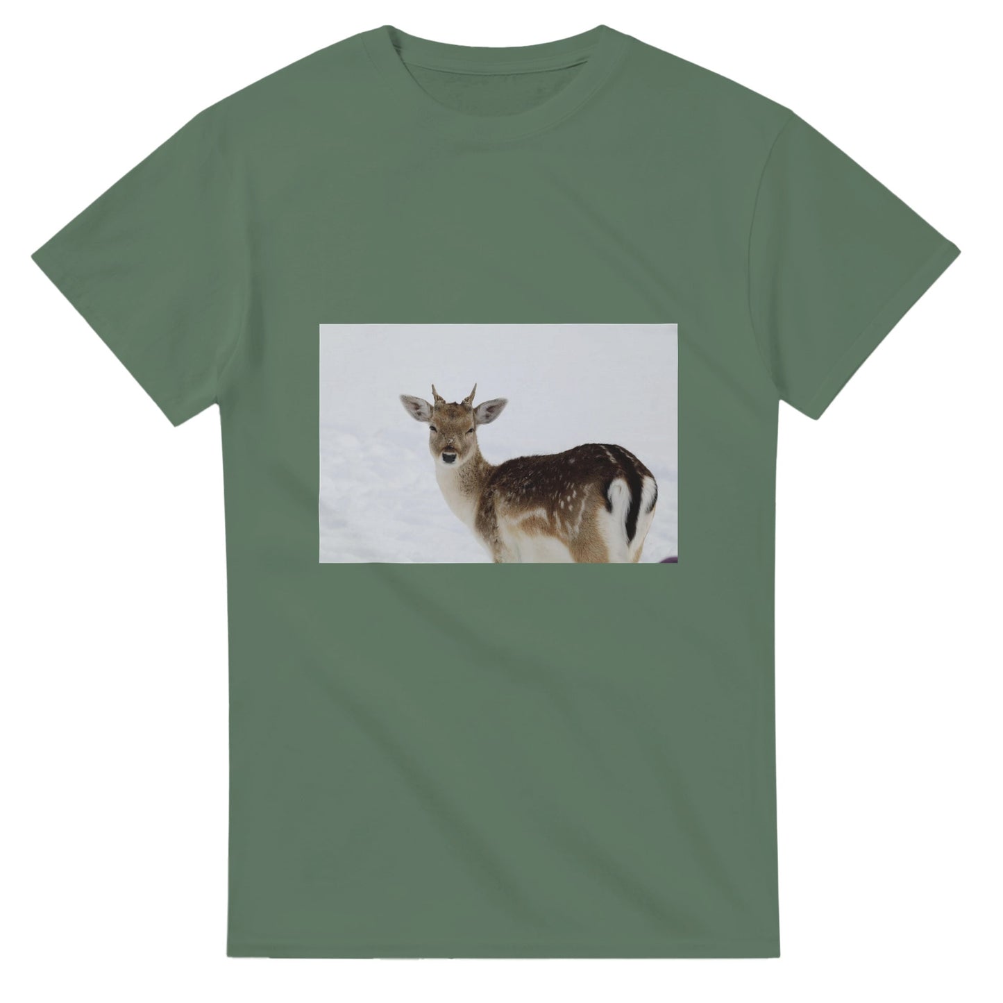 8f289fc9-46db-4f0f-99a2-cddd17e3ff07