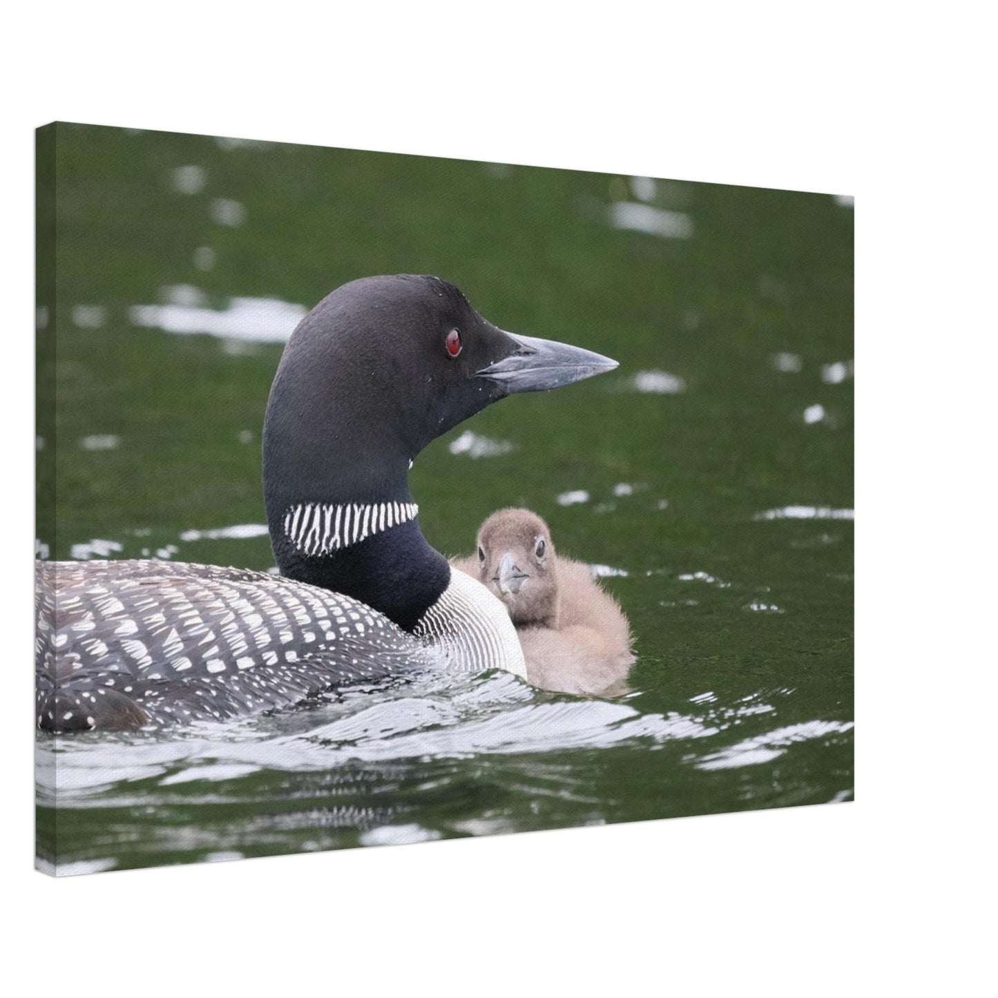 8f4717e8-a12e-4e46-8e14-29b565d876f9