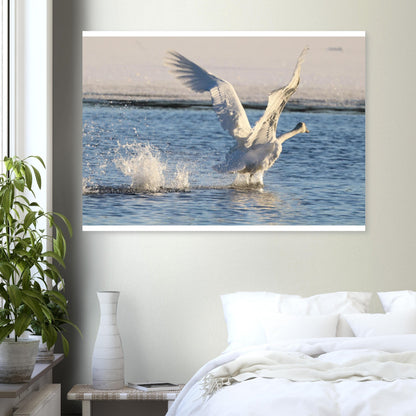 8f613047-af66-4b93-bbcb-440856f82f78