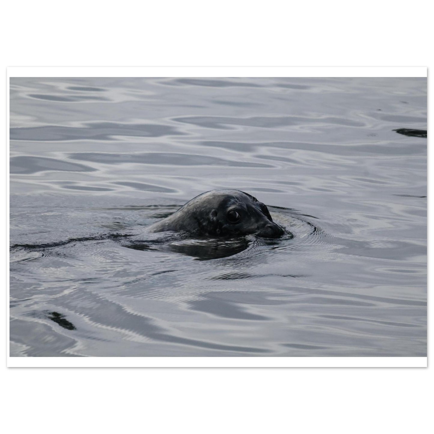 8fbe75d0-6177-481d-9579-1edcfbc868c7