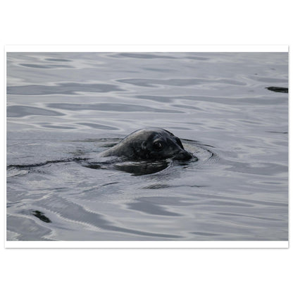 8fbe75d0-6177-481d-9579-1edcfbc868c7