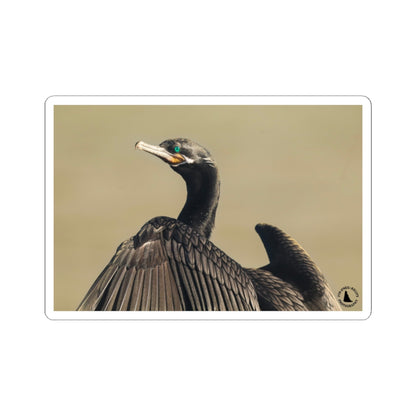 Cormorant Photo Sticker — Wildlife Kiss-Cut Vinyl Sticker