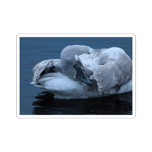Swan on Water Kiss-Cut Sticker — Serene Grey Swan Laptop Decal