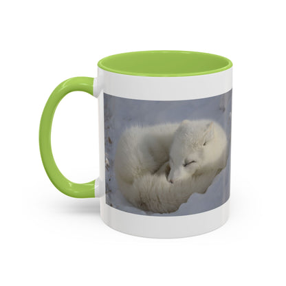 Arctic Fox Photo Accent Coffee Mug – Winter Wildlife Ceramic Mug (11/15oz)
