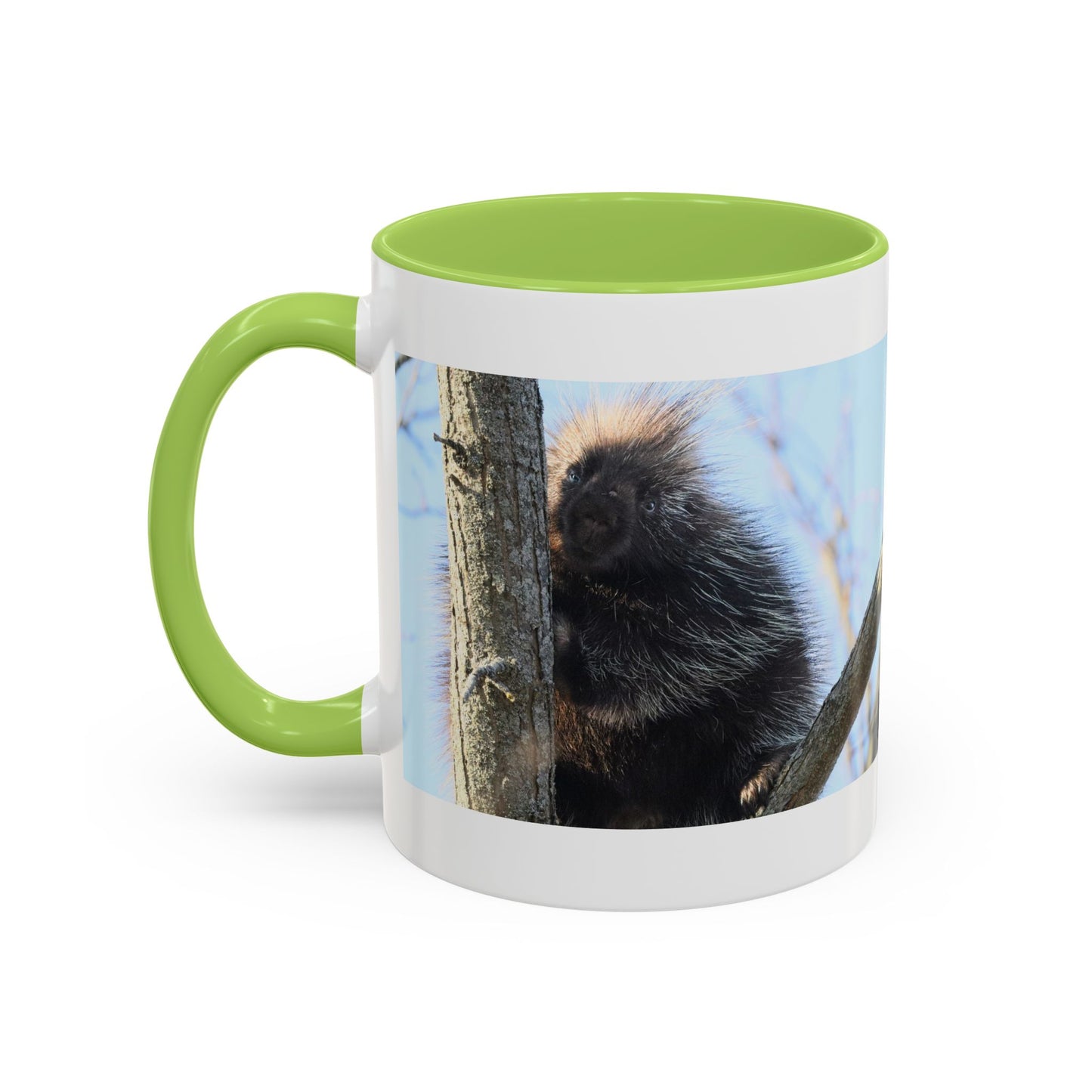 Porcupine Photo Accent Coffee Mug — Wildlife Nature Lover Gift (11/15oz)