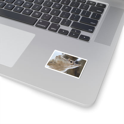 Flying Sugar Glider Sticker — Cute Gliding Pet Laptop Decal