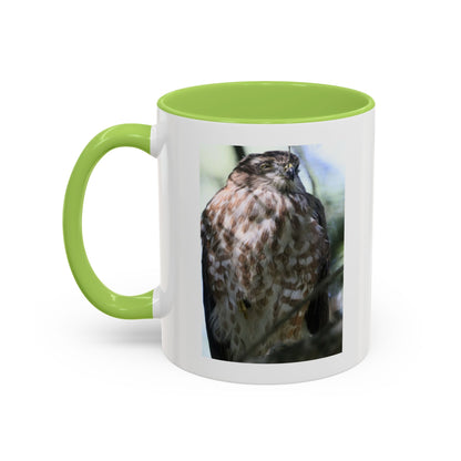 Hawk Photo Accent Coffee Mug — Birdwatcher Gift, 11/15oz
