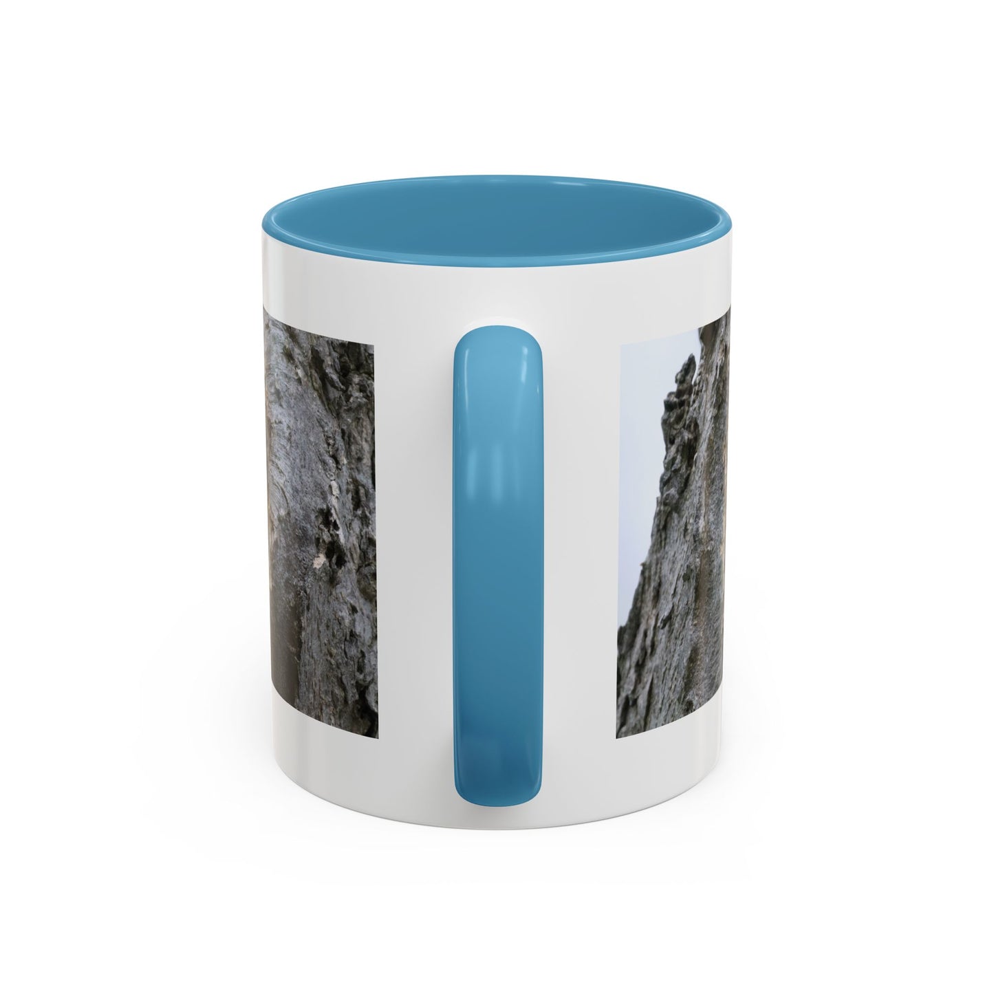 Bluebird in Tree Cavity Accent Coffee Mug — Nature Wildlife Ceramic Mug (11/15oz)