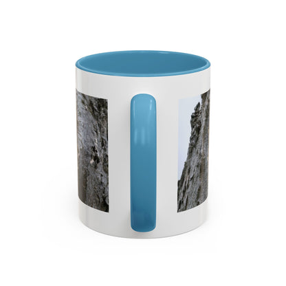 Bluebird in Tree Cavity Accent Coffee Mug — Nature Wildlife Ceramic Mug (11/15oz)