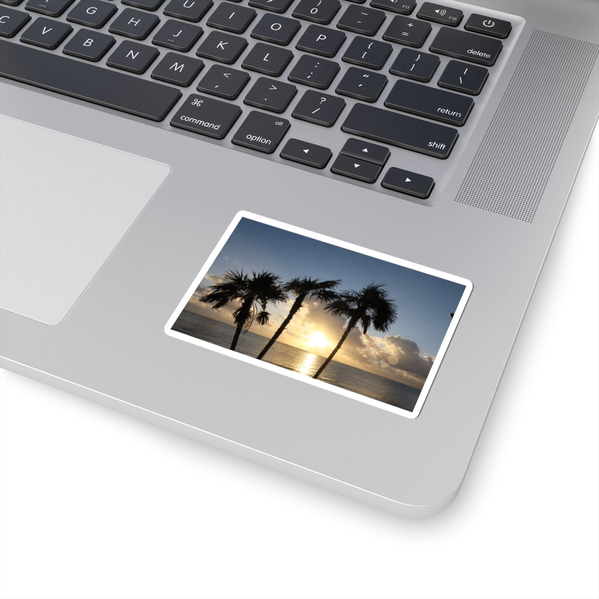 Palm Tree Sunset Sticker — Tropical Beach Kiss-Cut Decal