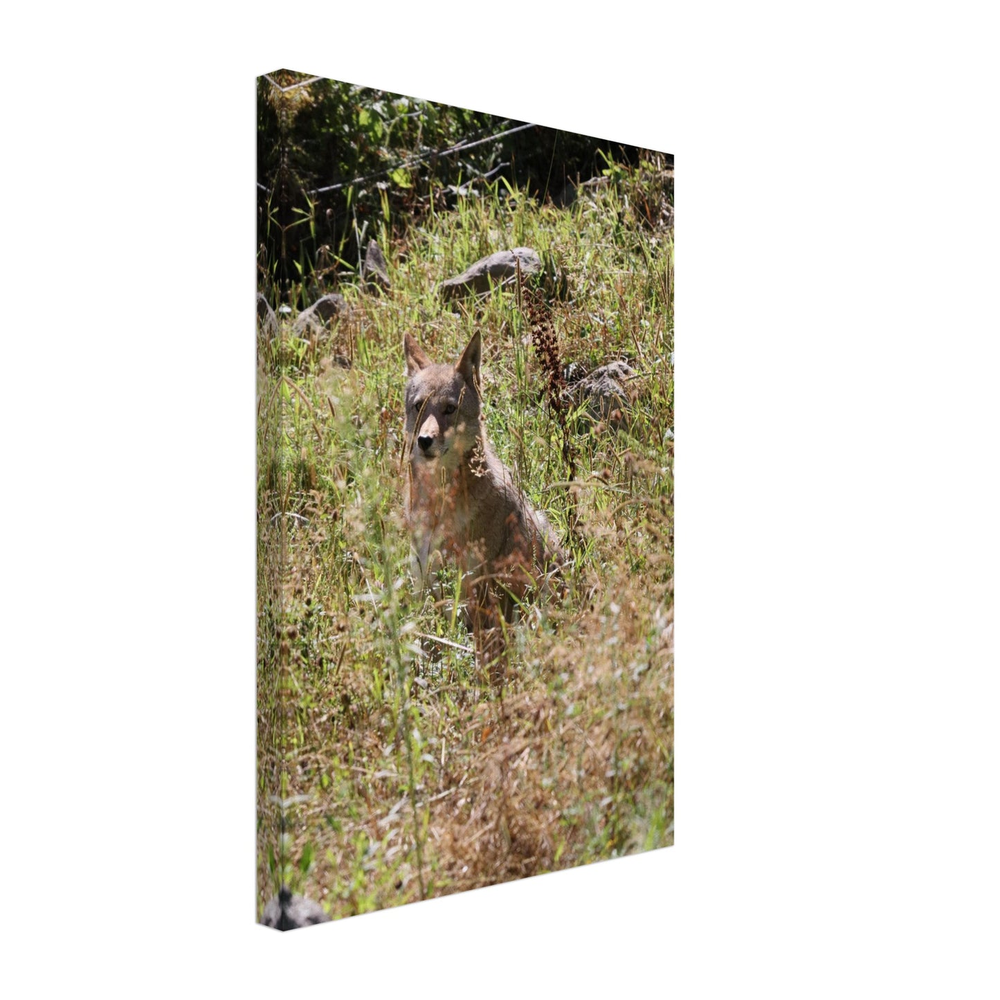 90898aac-3554-47ee-9e3e-004e51d7aa18