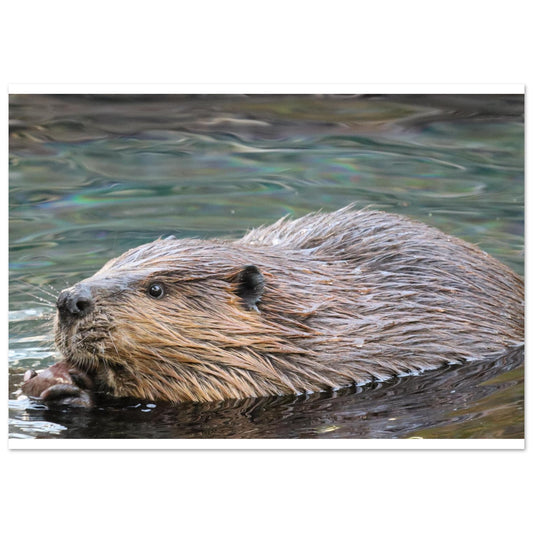 90d55ecf-d861-44b2-820b-473decc86d0f