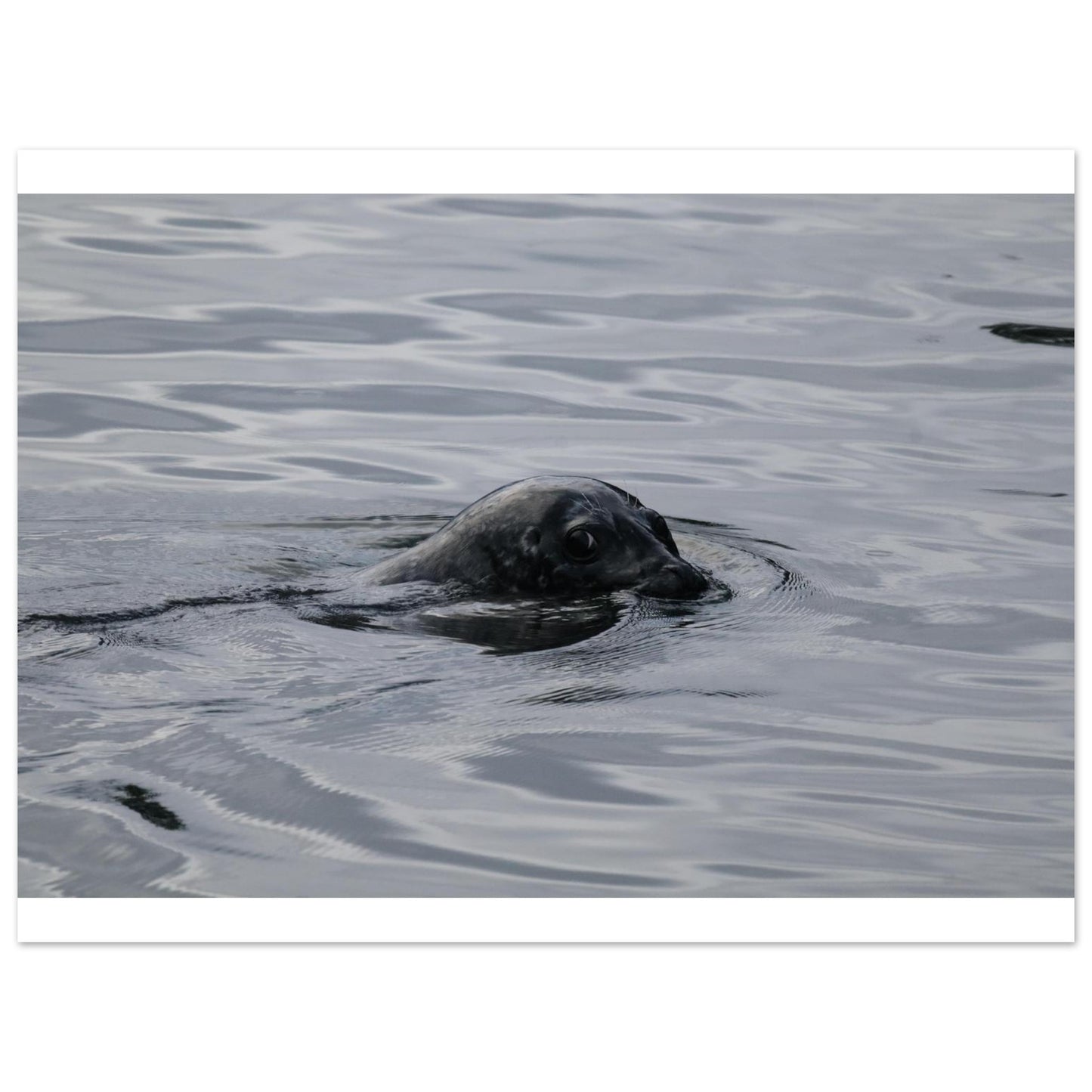 90e3ec60-053e-4d94-b8e5-210a7c6f83db