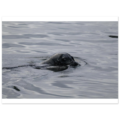 90e3ec60-053e-4d94-b8e5-210a7c6f83db