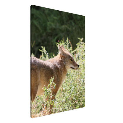 91229a84-ee72-4819-b5b3-ff27ee6f82d7